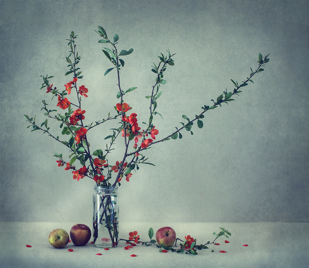 Still life with a Japanese quince de Dimitar Lazarov - Dim