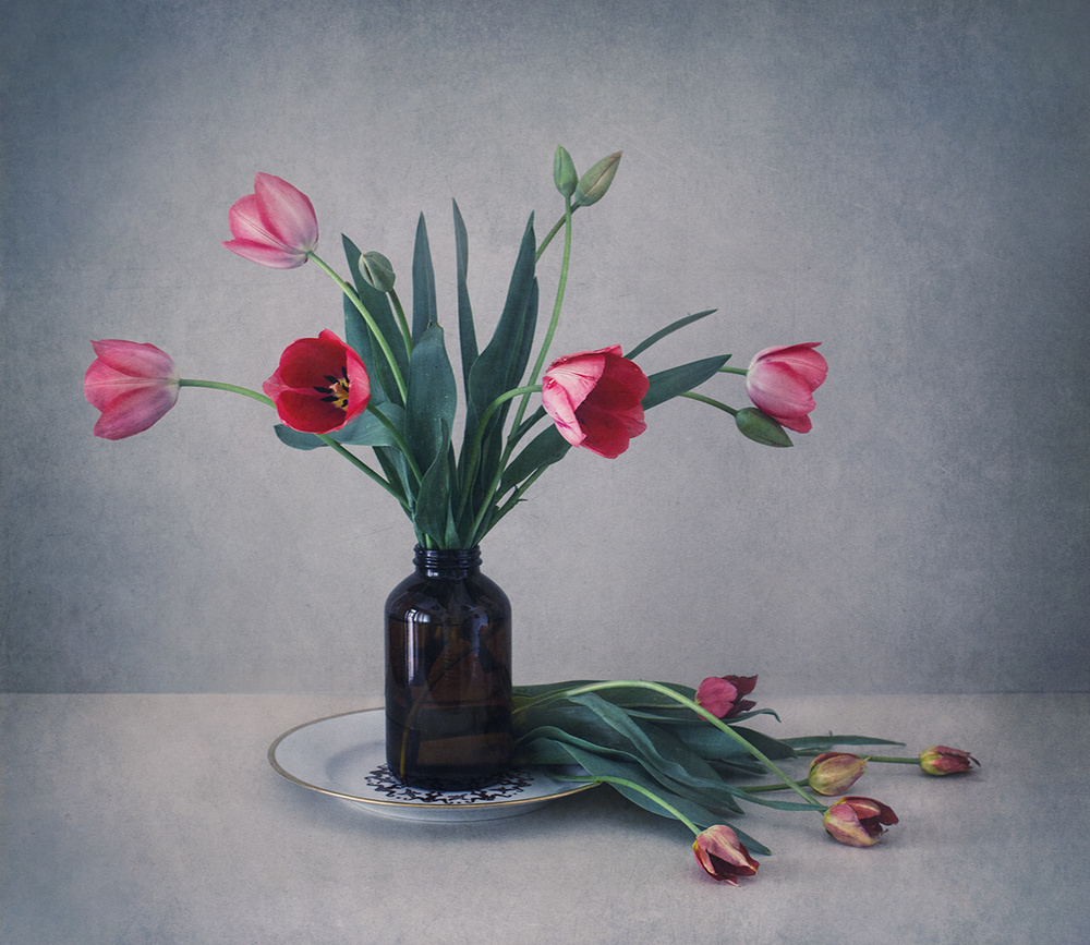 Still life with tulips de Dimitar Lazarov - Dim