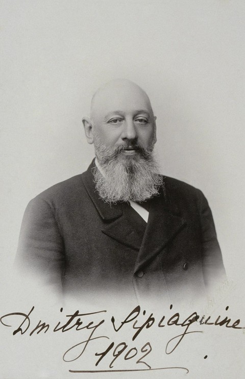 Portrait of Dmitry Sergeyevich Sipyagin (1853-1902) de Dimitrij Grigorjewitsch Lewizkij