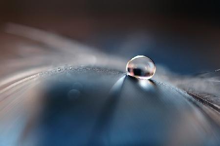 Stories of drops