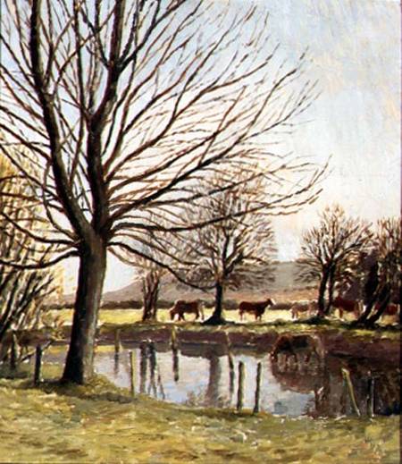 Cattle by a Pond de Dora Carrington
