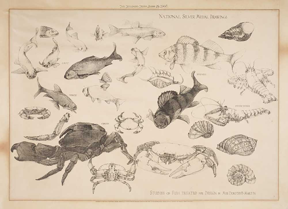 Studies of Fish Treated for Design, 1903 de Dorothy Martin