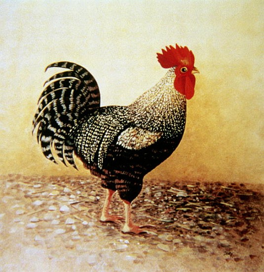 Speckled Rooster (acrylic on canvas)  de Dory  Coffee