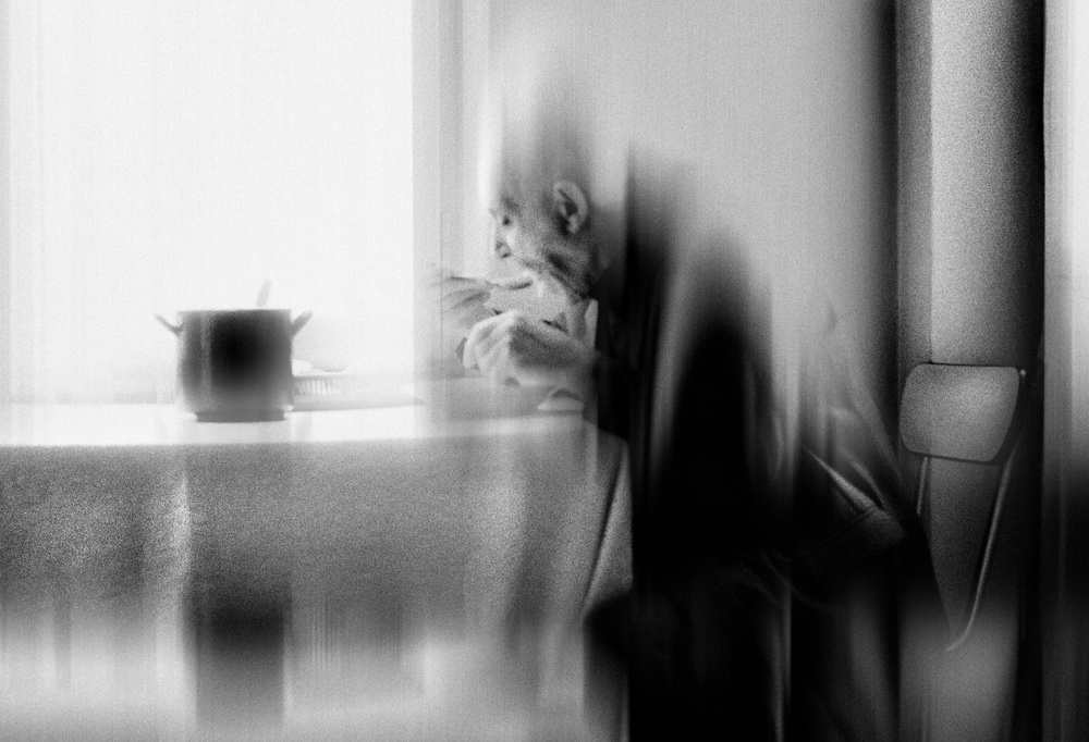 Dining in the silence of oblivion de Dragan Ristic