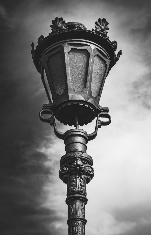 Portrait of lampshade de Dragan Trosic