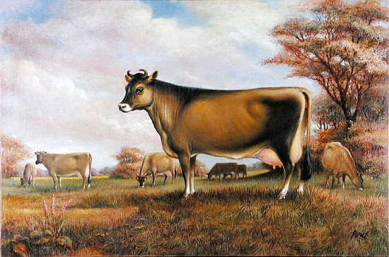 Jersey Cow (oil on canvas)  de Dudley  Pout