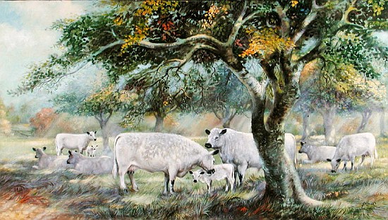 Orchard Sunlight (oil on canvas)  de Dudley  Pout