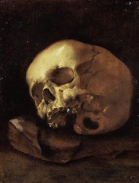 A skull