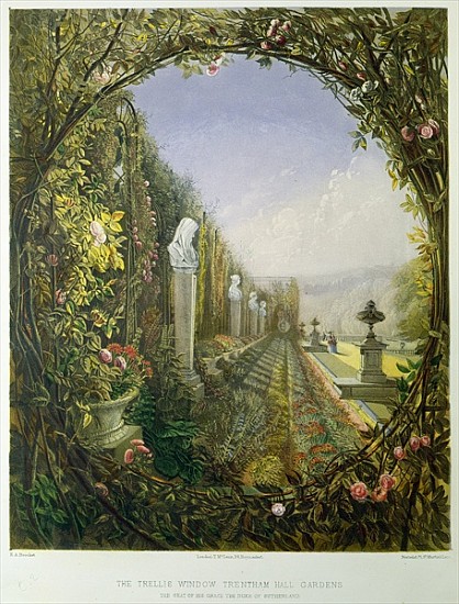 The Trellis Window, Trentham Hall Gardens, from ''Gardens of England'', published 1857 de E. Adveno Brooke