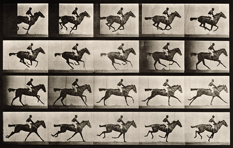 Jockey on a galloping horse, plate 627 from ''Animal Locomotion'', 1887 (b/w photo)  de Eadweard Muybridge