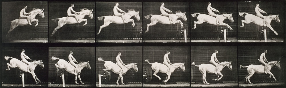 Man and horse jumping a fence, plate 643 from ''Animal Locomotion'', 1887 (b/w photo)  de Eadweard Muybridge