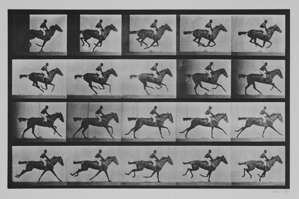 Jockey on a galloping horse, plate 627 from "Animal Locomotion" de Eadweard Muybridge