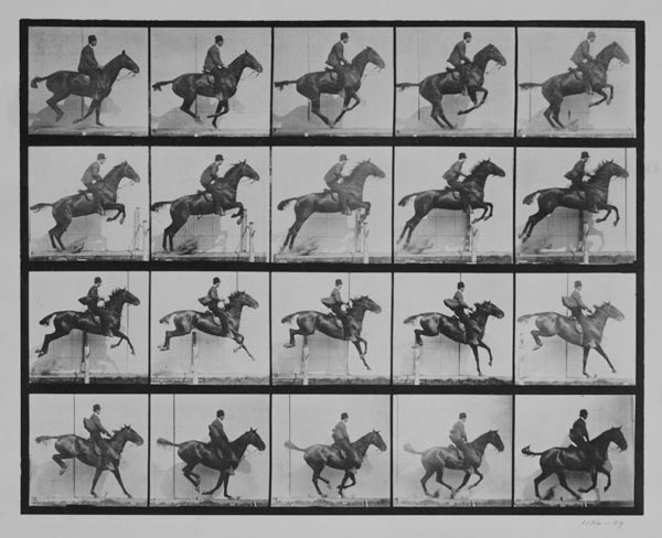 Man and horse jumping a fence, plate 640 from 'Animal Locomotion', 1887 (b/w photo) de Eadweard Muybridge