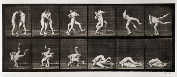 Two Men Wrestling, plate 347 from ''Animal Locomotion'', 1887 (b/w photo)  de Eadweard Muybridge