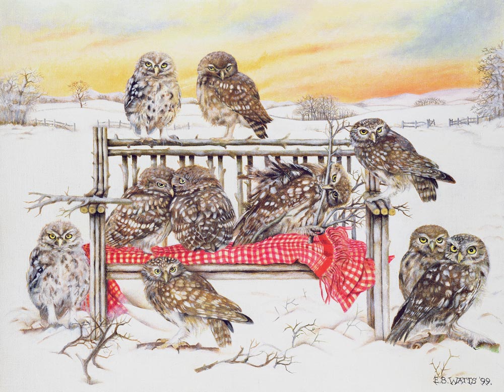 Little Owls on Twig Bench, 1999 (acrylic on canvas)  de E.B.  Watts