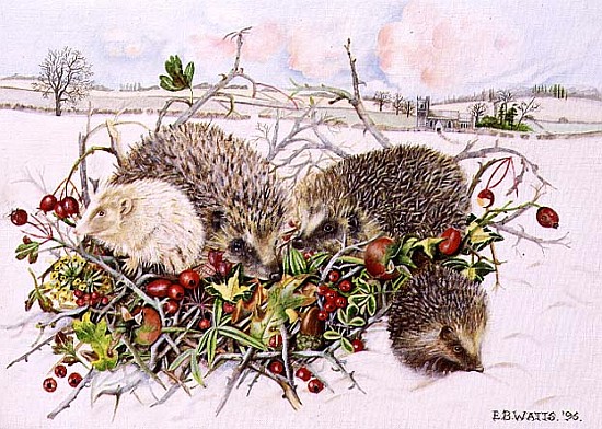 Hedgehogs in Hedgerow Basket, 1996 (acrylic on canvas)  de E.B.  Watts