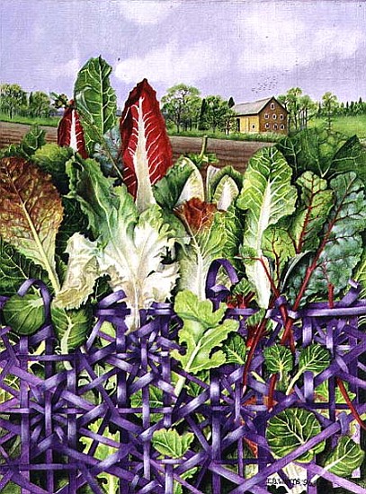 Lettuce Leaves in Purple Wicker, 1996 (acrylic on paper)  de E.B.  Watts