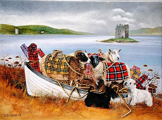 Sheep with Tartan, 1999 (acrylic on canvas)  de E.B.  Watts