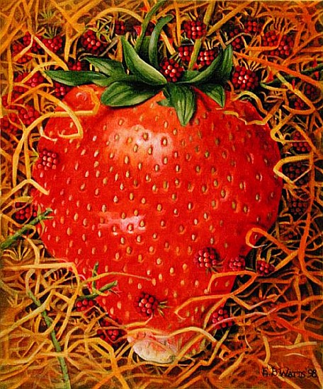 Strawberry in Straw, 1998 (acrylic on canvas)  de E.B.  Watts