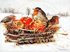 Robins with Apples, 1997 (acrylic on canvas) 