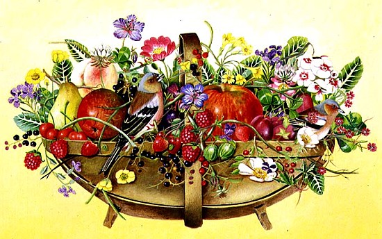 Trug with Fruit, Flowers and Chaffinches, 1991 (acrylic)  de E.B.  Watts