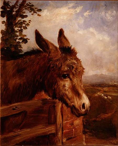 A Donkey at a Gate de Ebenezer Newman Downard