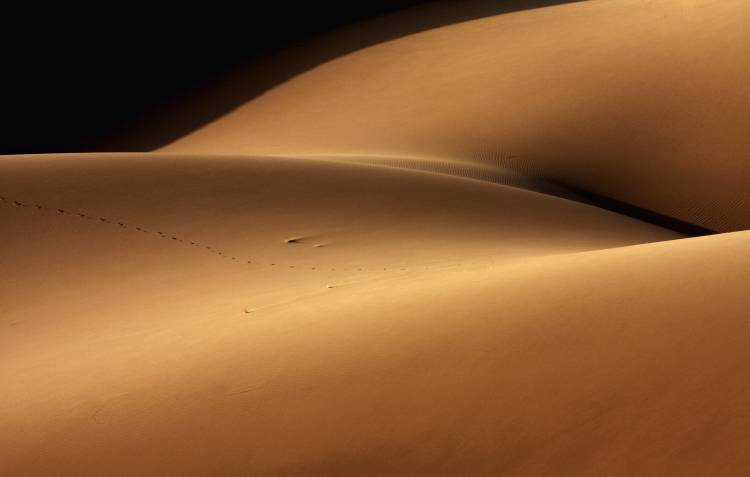 Desert and the human torso de Ebrahim Bakhtari bonab