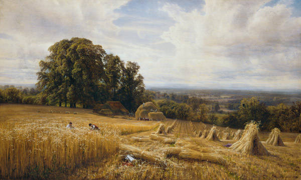 Grain harvest de Edmund George Warren