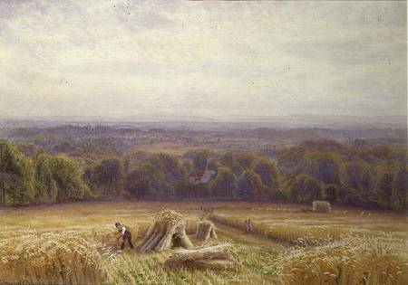 Harvesting de Edmund George Warren