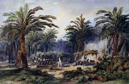 The Fabrication of Palm Oil at Whydah, West Coast of Africa de Edouard Auguste Nousveaux
