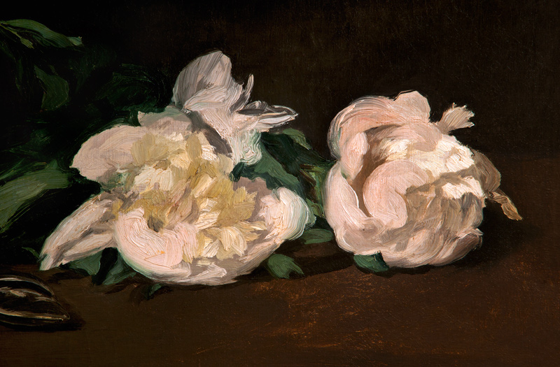 Branch of White Peonies and Secateurs de Edouard Manet