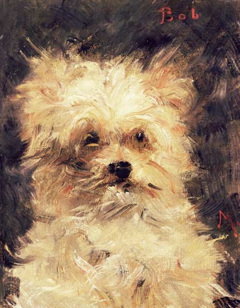 Head of a Dog - "Bob" de Edouard Manet