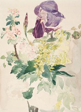 Flower Piece with Iris, Laburnum, and Geranium