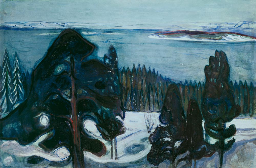 Winter Night de Edvard Munch
