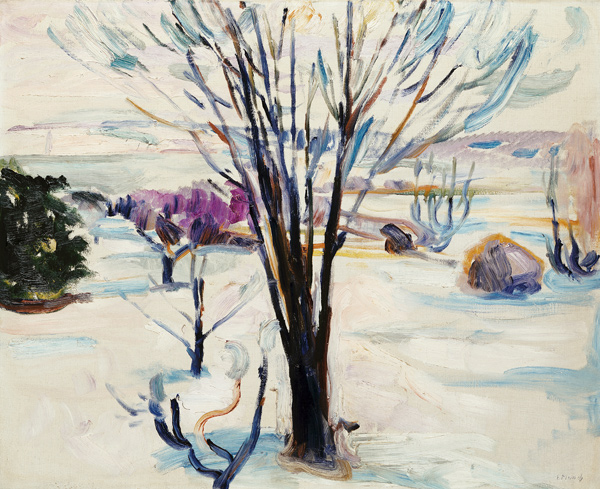 Winterlandschaft in Jeløya de Edvard Munch