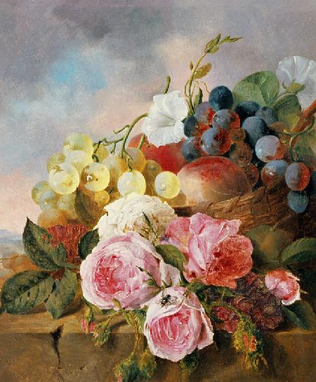 Still life of fruit and roses on a ledge