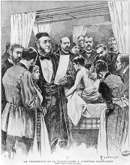 The treatment of tuberculosis at St. Louis hospital, Paris de Edward Loevy