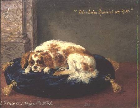 Blenheim Spaniel at Rest de Edwin Frederick Holt