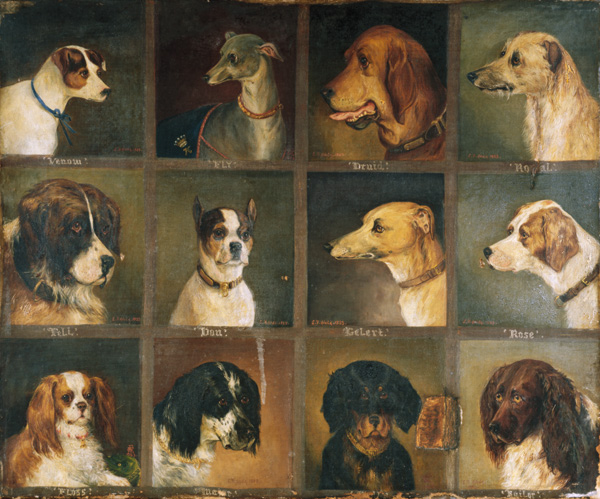 Twelve Favourite Dogs de Edwin Frederick Holt