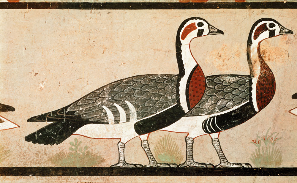 Meidum geese, from the Tomb of Nefermaat and Atet, Old Kingdom de Egyptian