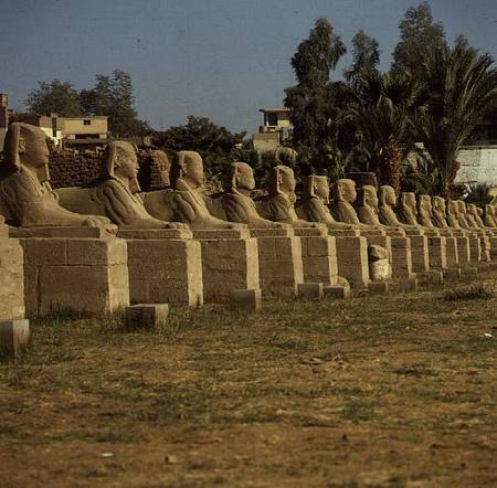 Avenue of Sphinxes, added by Nectanebo I (380-362 BC) Late Period de Egyptian
