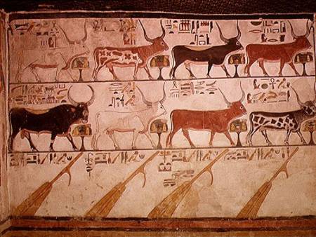 The seven celestial cows and the sacred bull and the four rudders of heaven, from the Tomb of Nefert de Egyptian