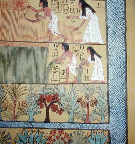 Detail of a harvest scene on the East Wall, from the Tomb of Sennedjem, The Workers' Village, New Ki de Egyptian