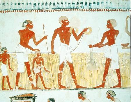 Measuring the land using rope, from the Tomb Chapel of Menna, New Kingdom de Egyptian