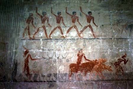 Men herding sheep and cattle from the Mastaba Chapel of Ti, Old Kingdom de Egyptian