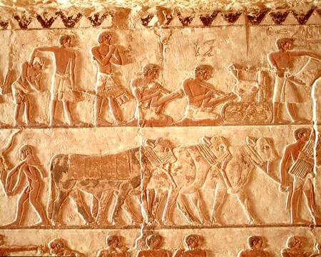 Painted relief depicting the posting of taxes and a group of cattle, Old Kingdom de Egyptian