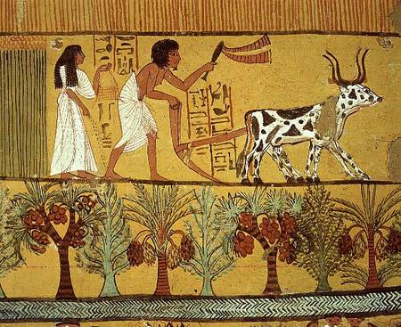 Sennedjem and his wife in the fields sowing and tilling, from the Tomb of Sennedjem, The Workers' Vi de Egyptian