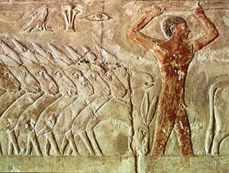 Troup of donkeys, from the Mastaba of Mereruka, Old Kingdom de Egyptian