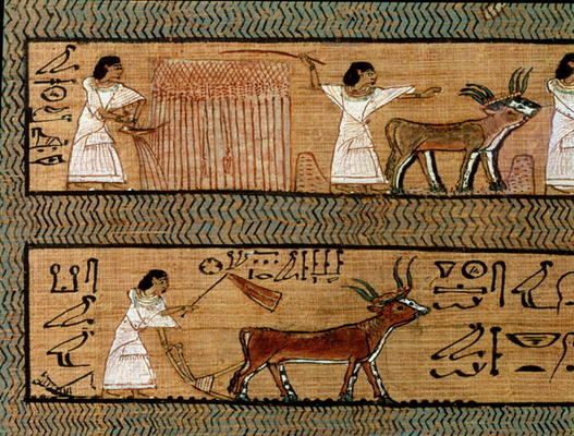 Reaping and ploughing, detail from a depiction of farming activities in the afterlife, from the Book de Egyptian 19th Dynasty