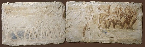 Relief of Peasants Driving Cattle and Fishing, Old Kingdom, 2450-2290 BC de Egyptian School
